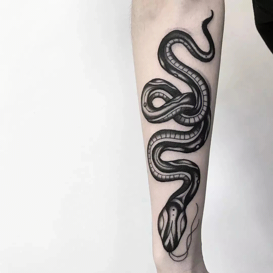 暗黑蛇纹身从手到腰图片