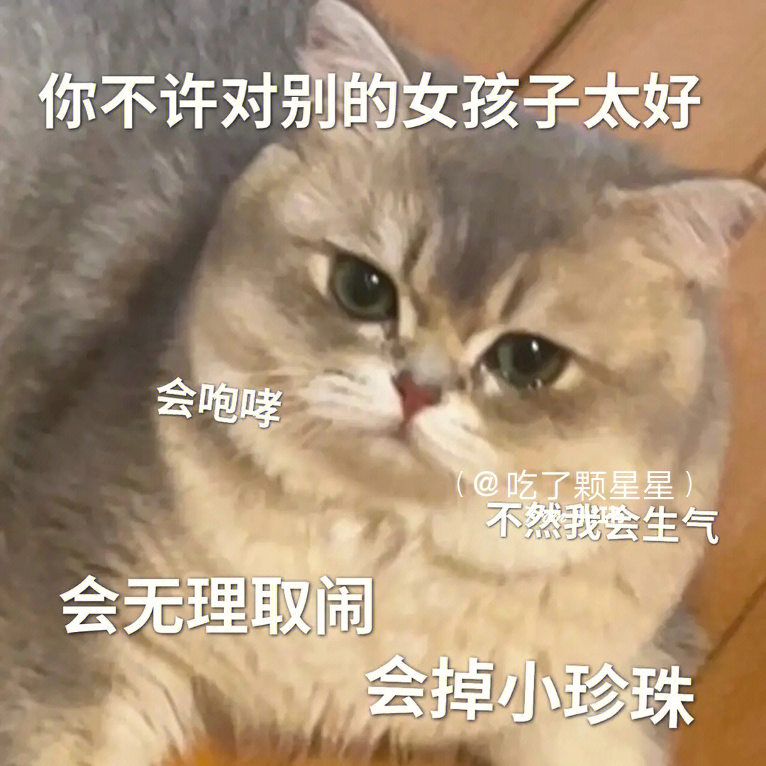 猫咪叫女儿表情包图片