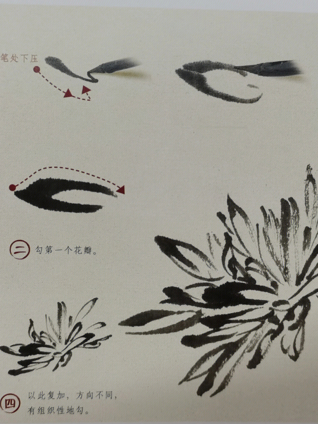 中国画菊花