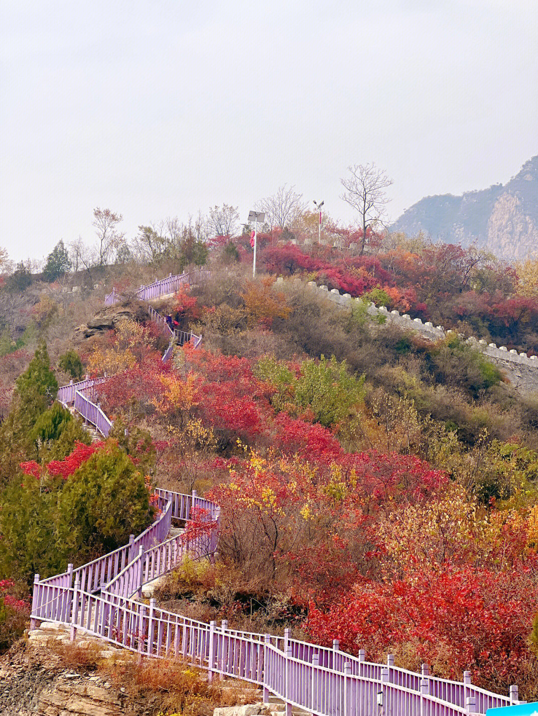 安丘大安山图片