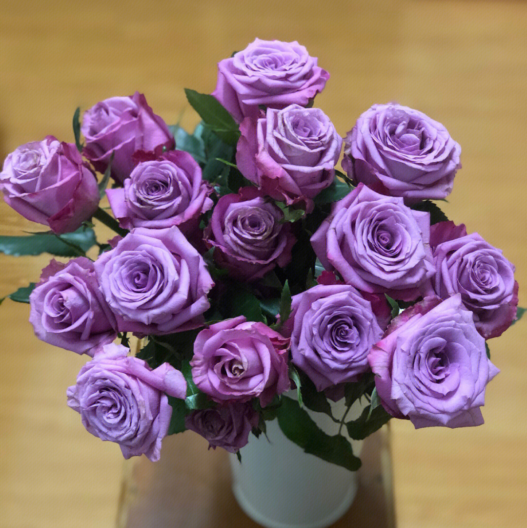 碧海玫瑰花语图片