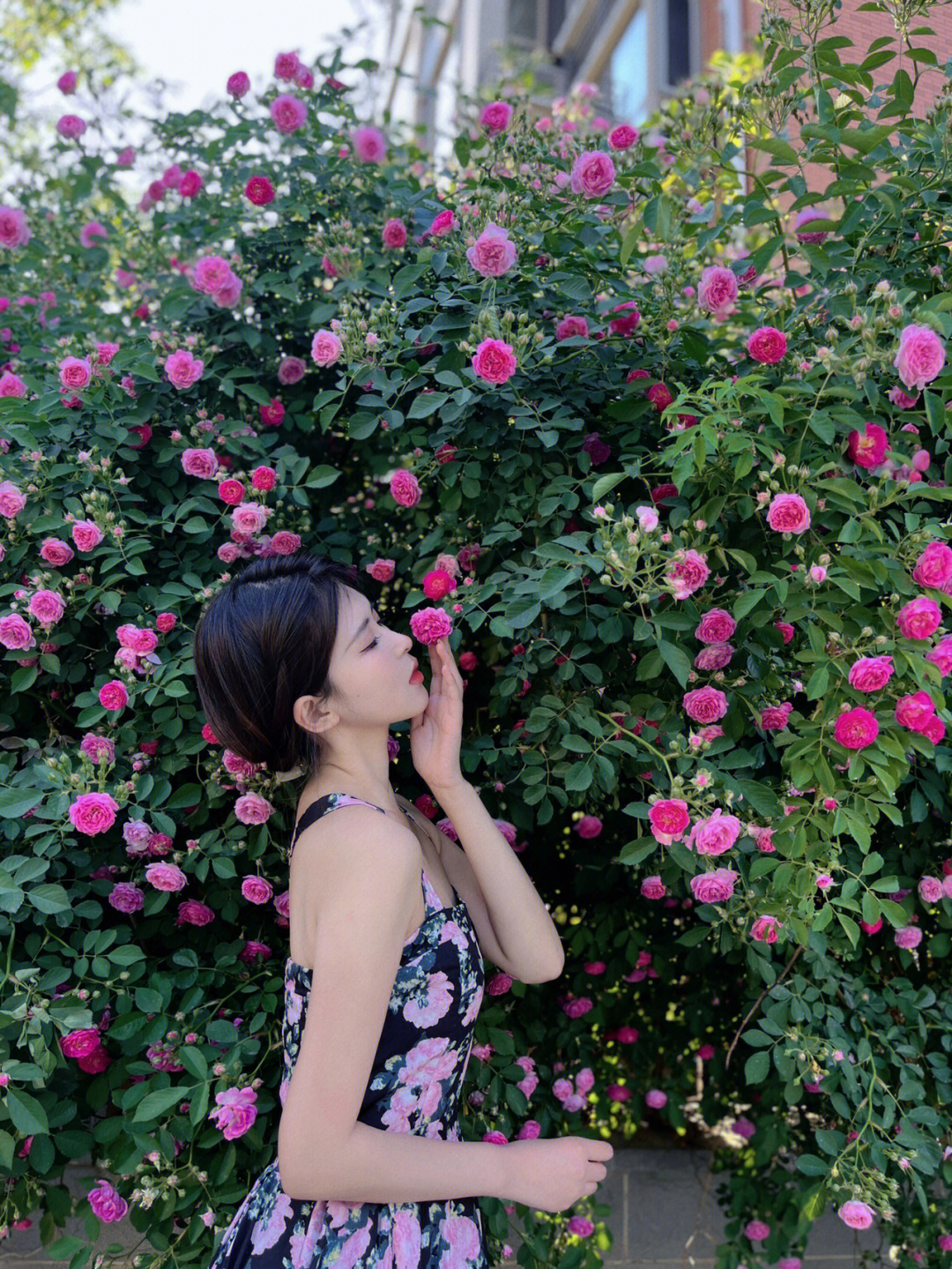 蔷薇花拍照拍照姿势