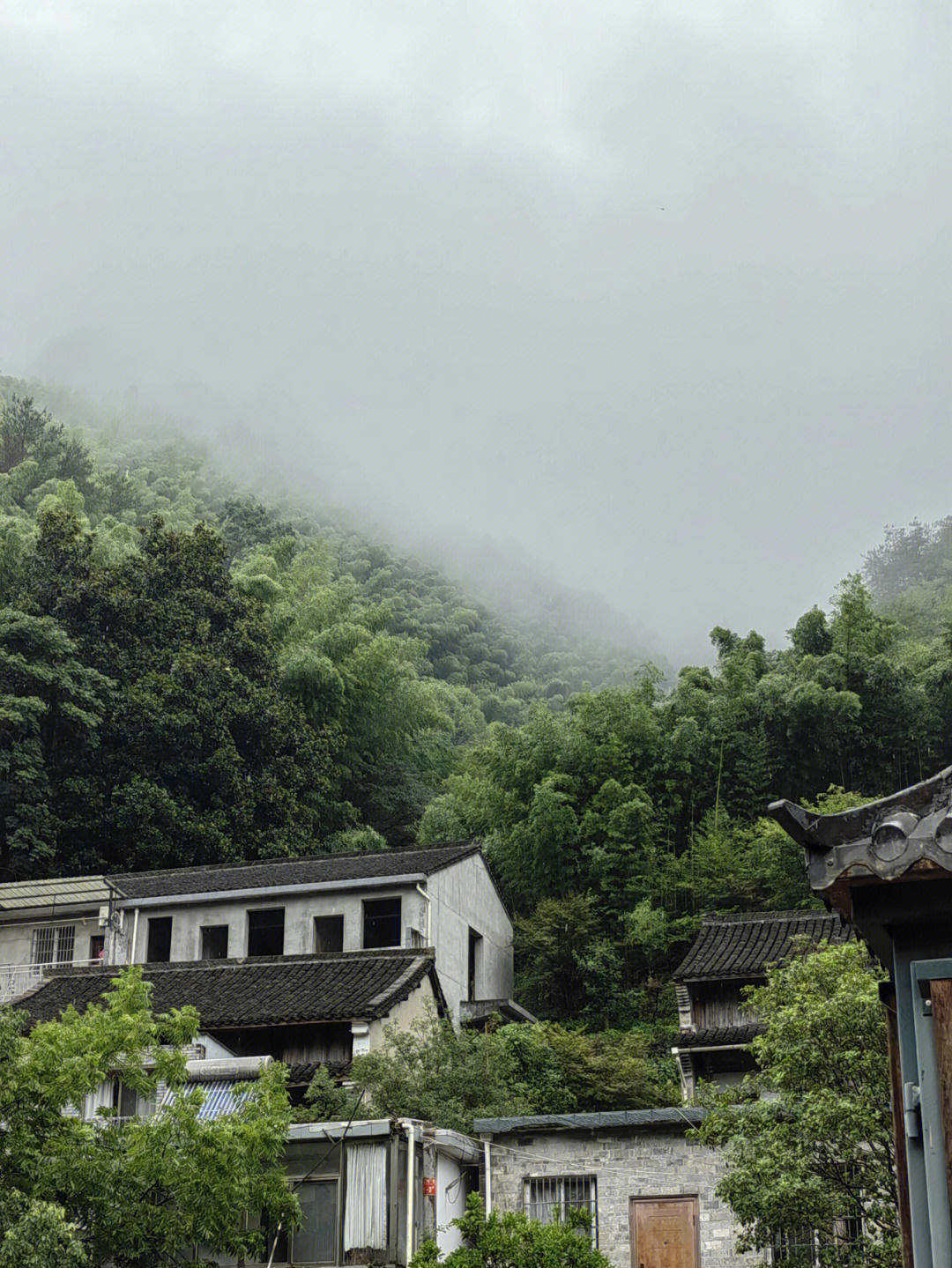 武侯庙剑江春水绿沄沄图片