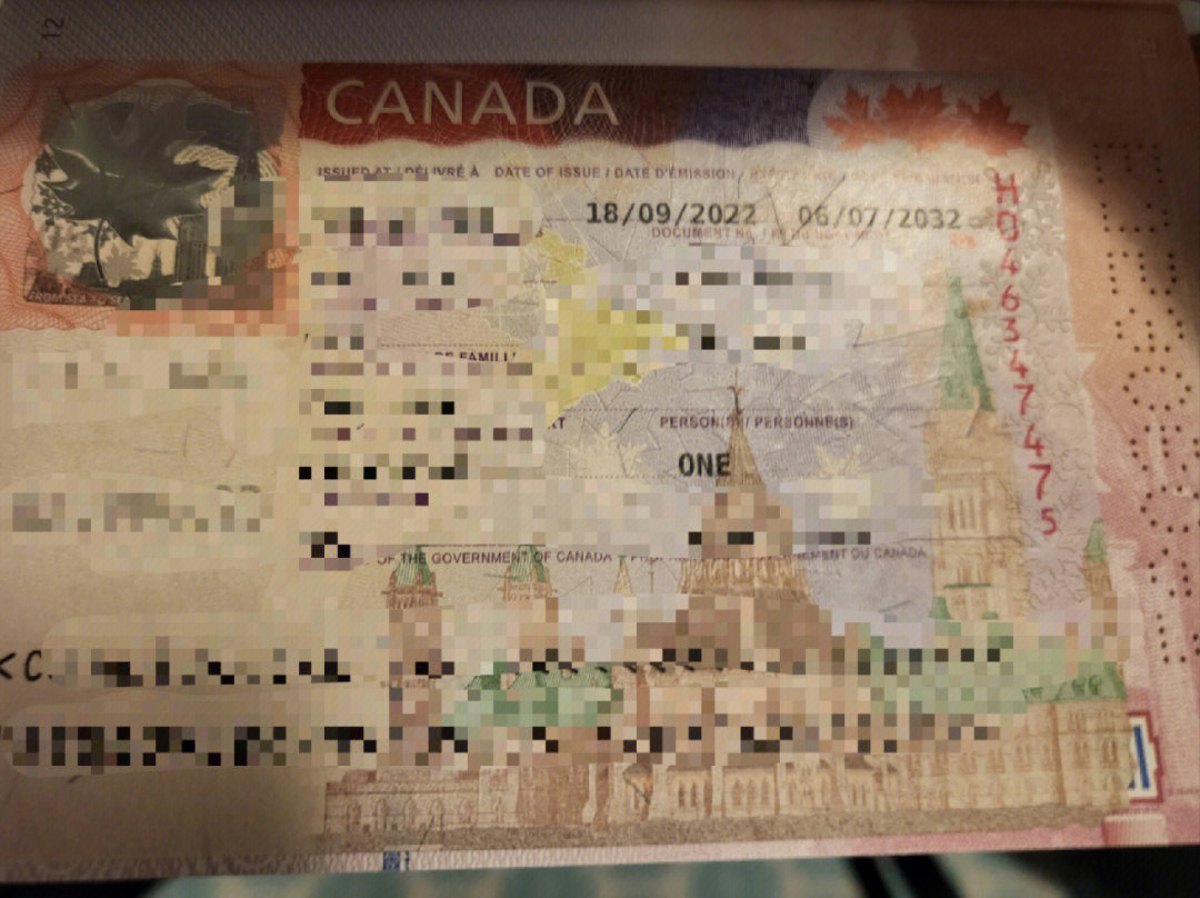 加拿大签证照片要求图片
