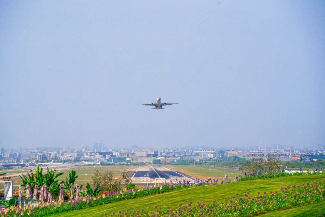 空港花田游览图图片