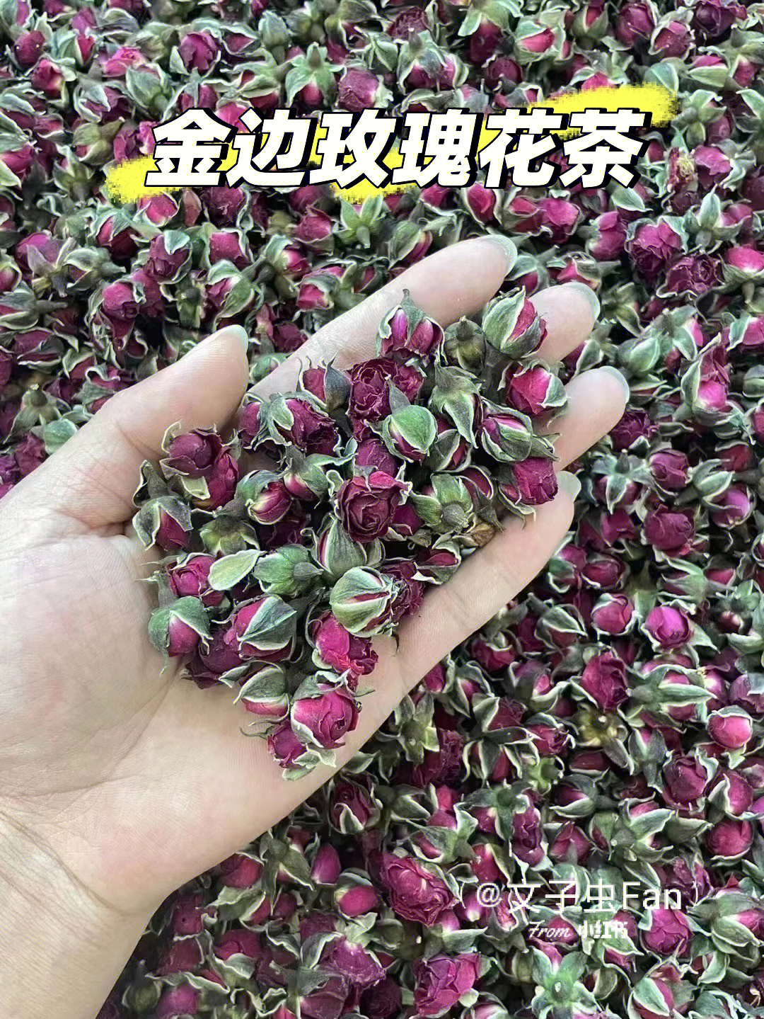 金边玫瑰花茶价格图片