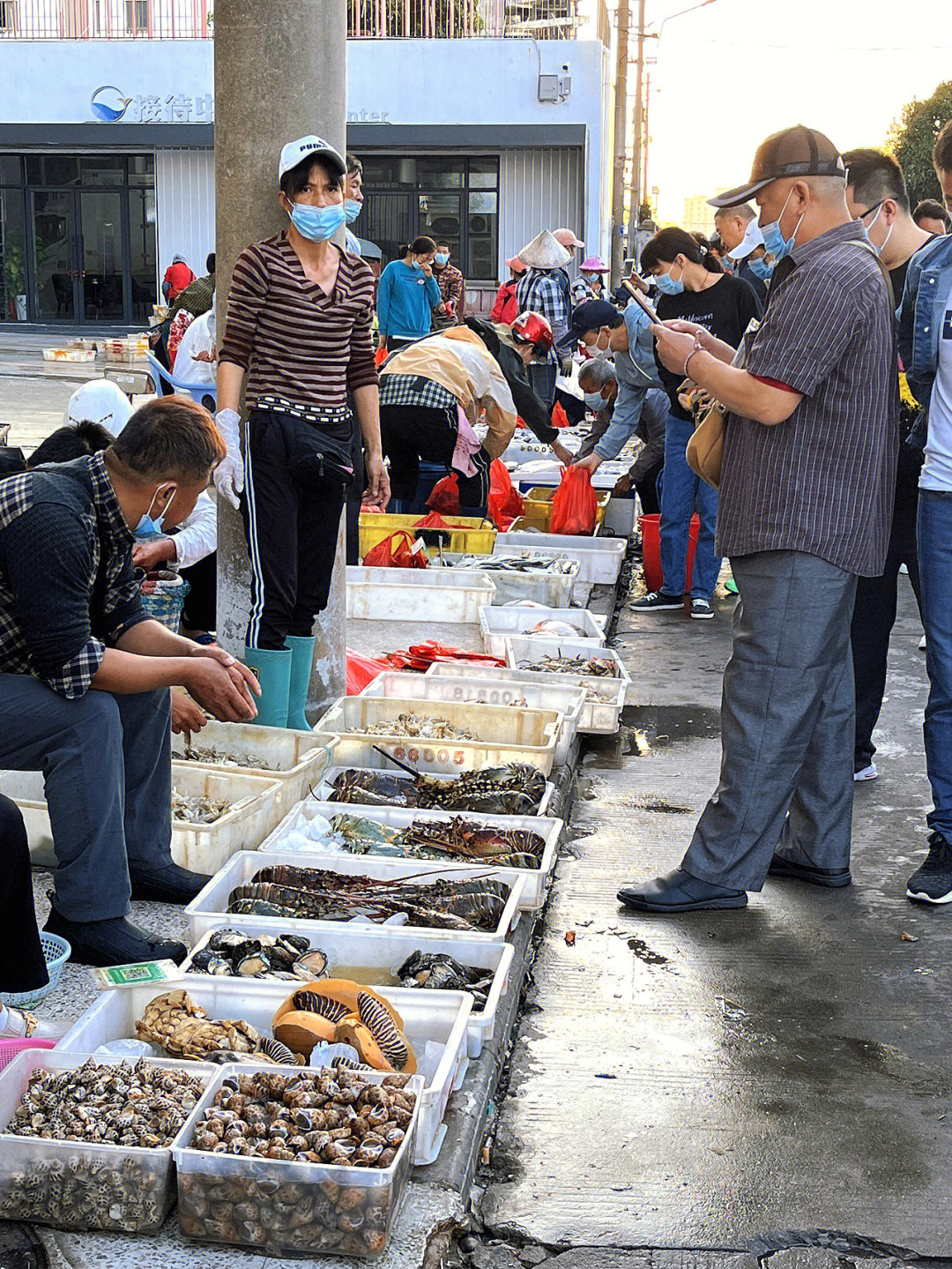 营口北海码头海鲜市场图片