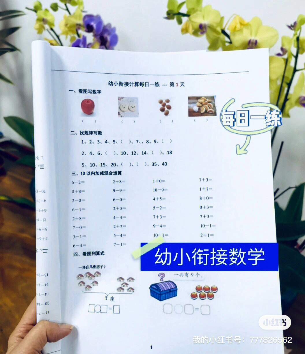 幼小衔接数学每日一练