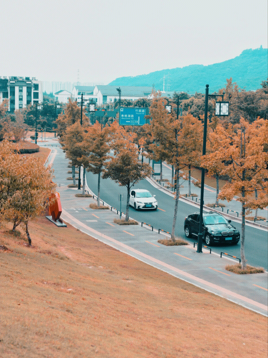 天平山下竹园路