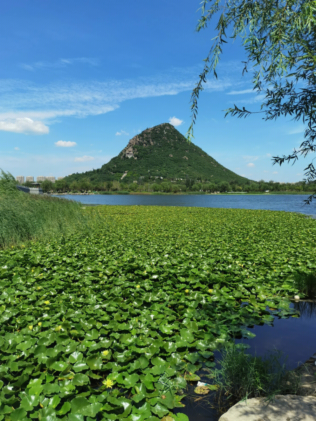 常州华山公园简介图片