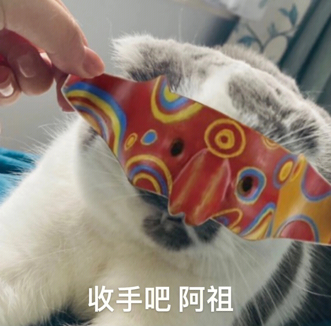 吴彦祖猫咪面具图图片