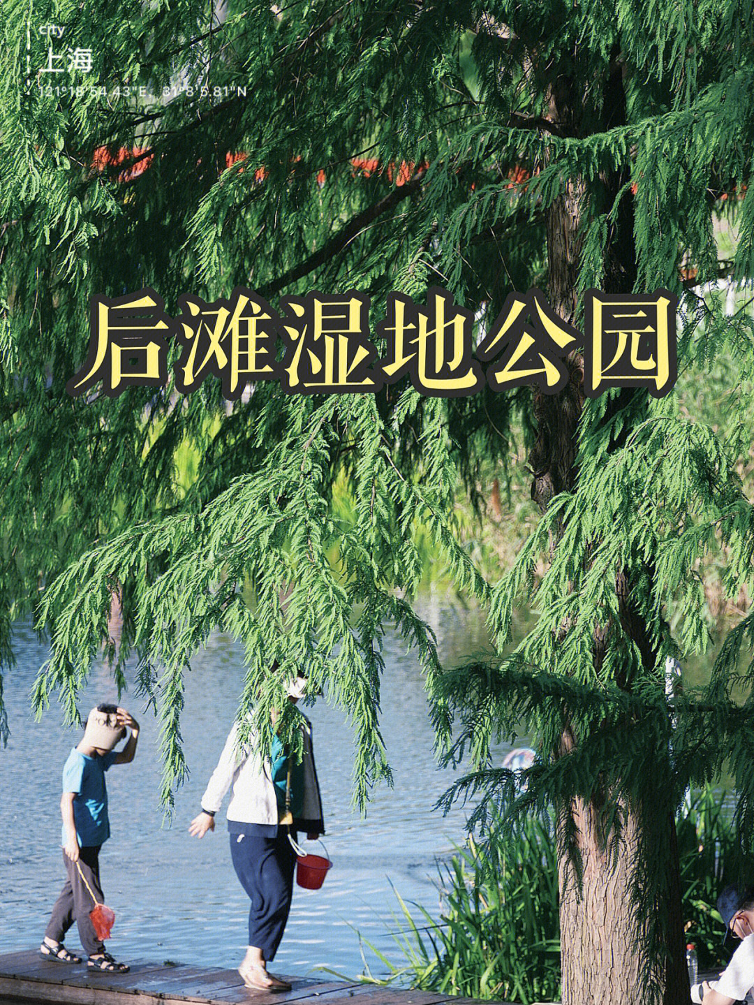 上海周末出行后滩湿地公园