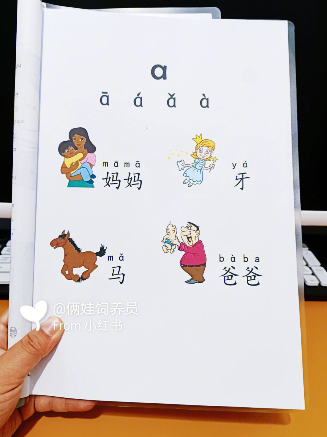 幼小衔接拼音首选60单音节两拼三拼都有