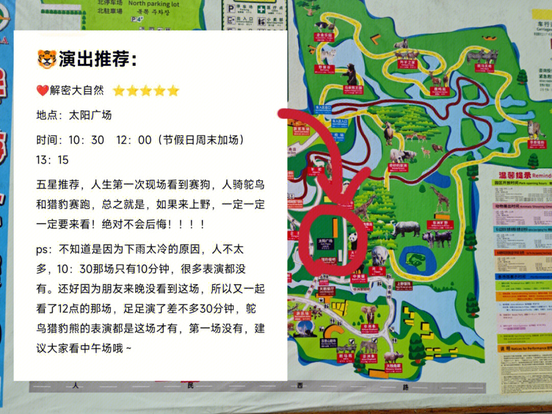 春节上海野生动物园游览攻略
