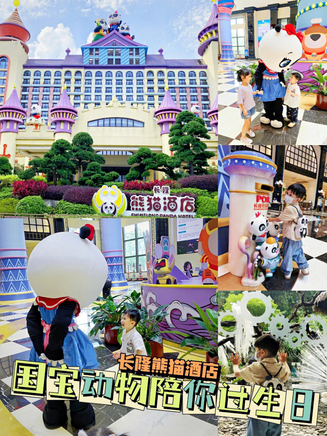 广州长隆熊猫酒店攻略图片