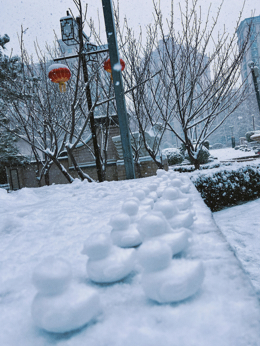 雪花落在身上的图片图片