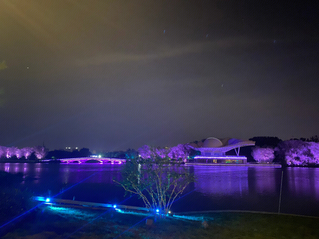 成武蓝水湾夜景图片