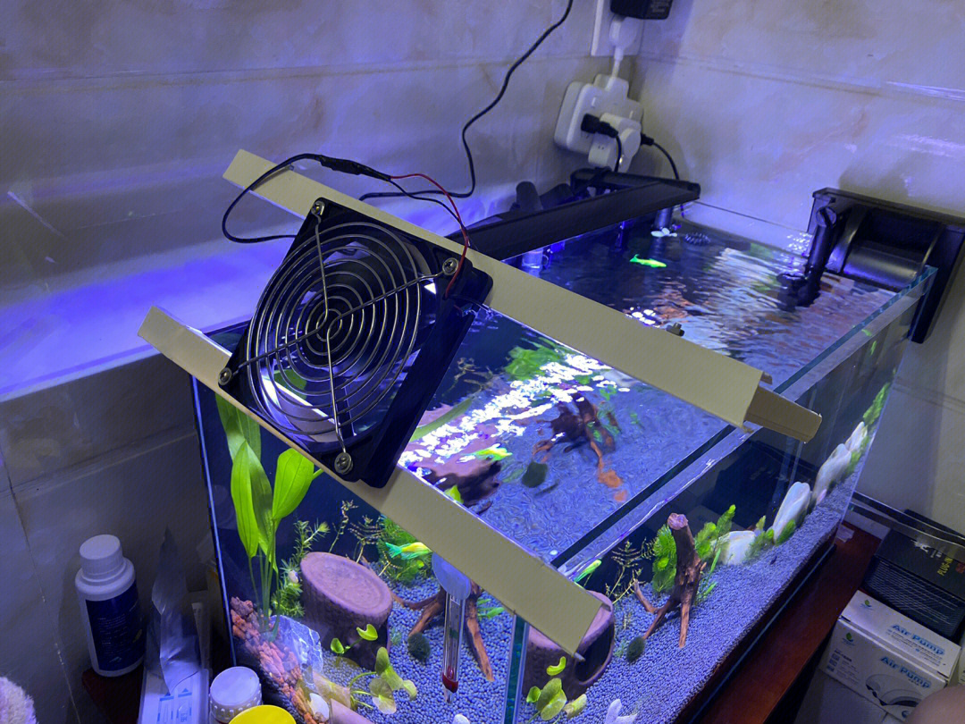 自制鱼缸冷水机图片