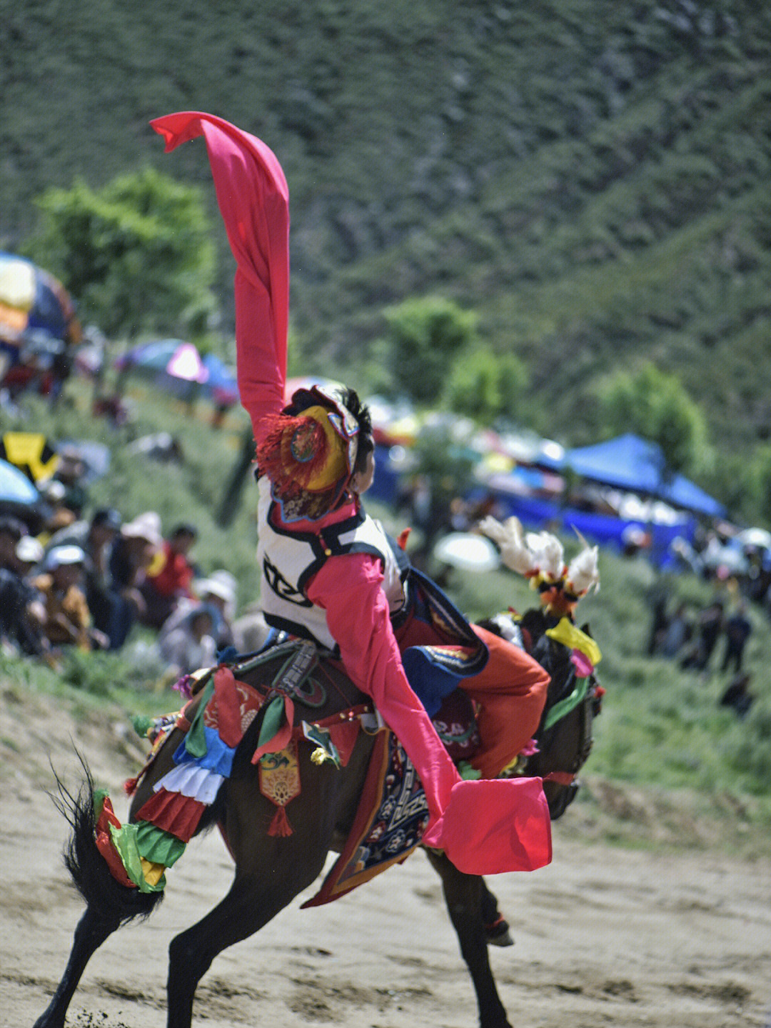 西藏马术丨望果节的赛马表演