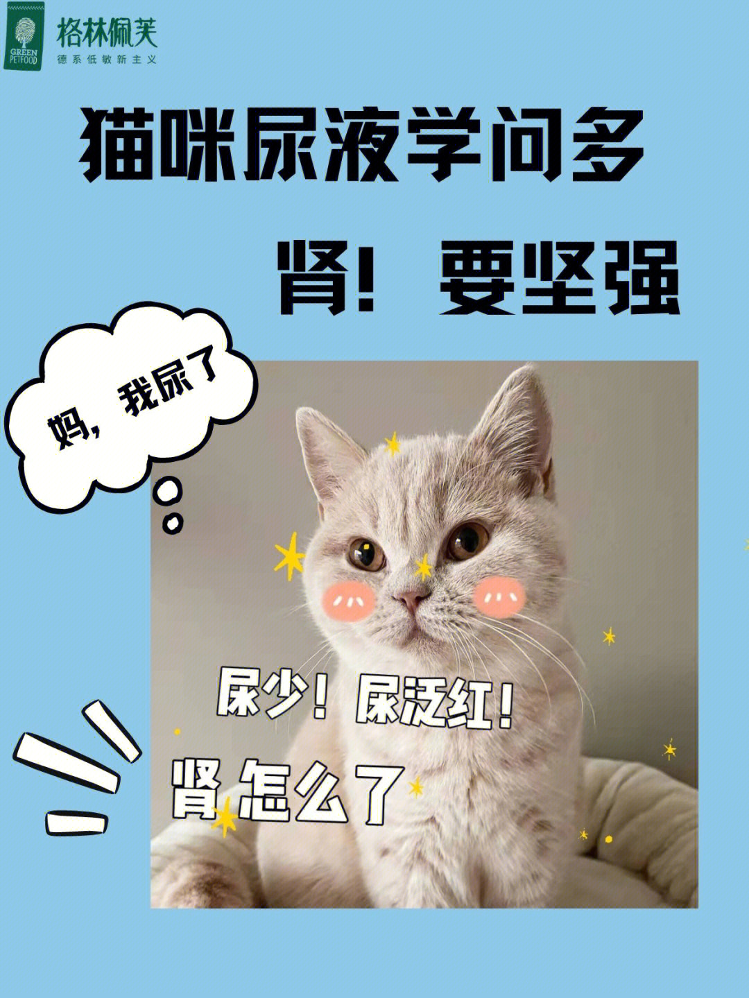 猫咪肾脏要注意,肾病预防>治疗啊!