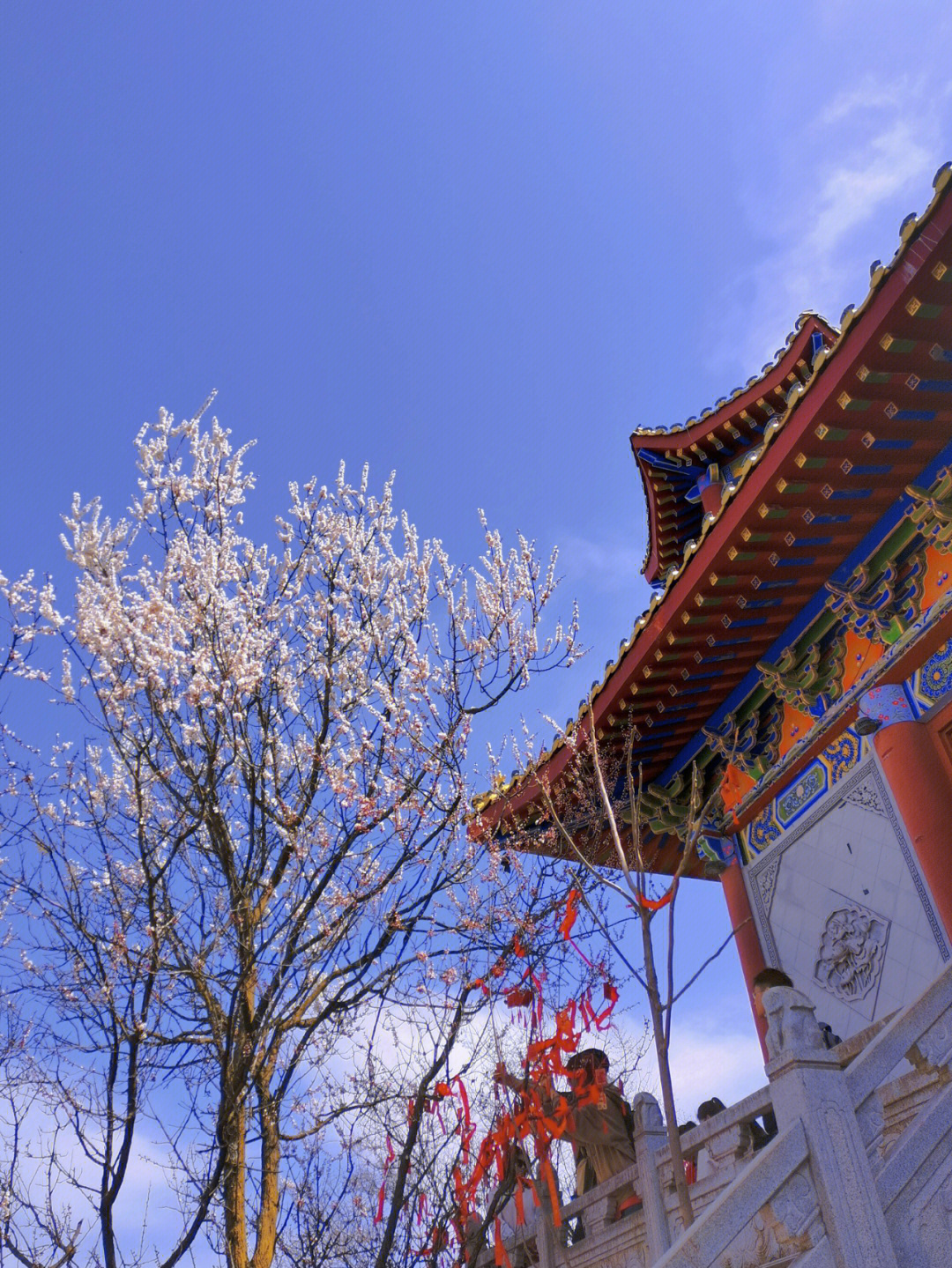 清明节西安终南山一日游