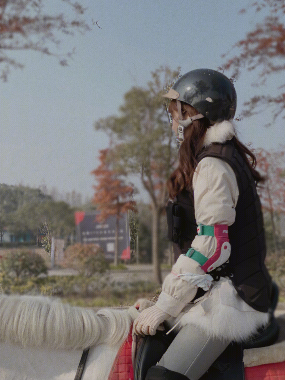 上海女子骑马上街图片