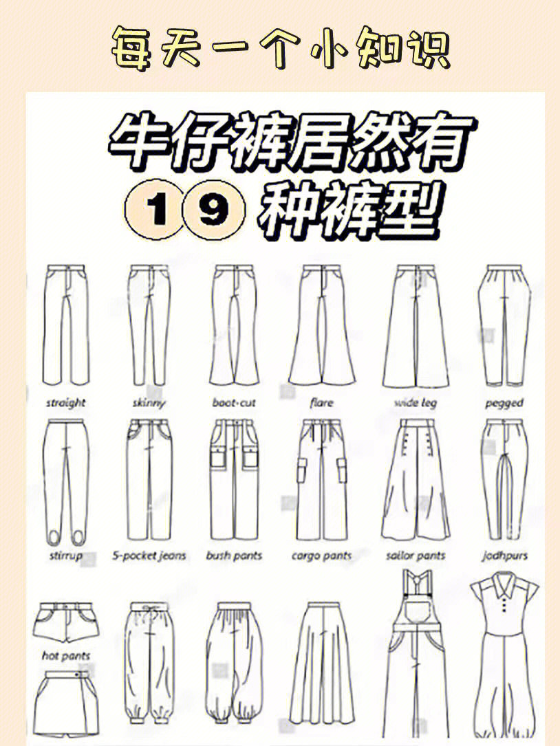 女裤裤型分类名称图片
