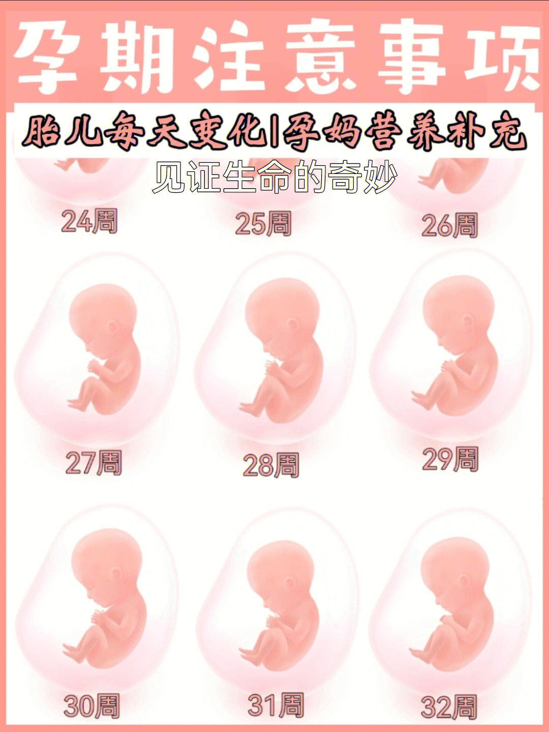 怀孕78月孕期注意事项营养胎儿发育