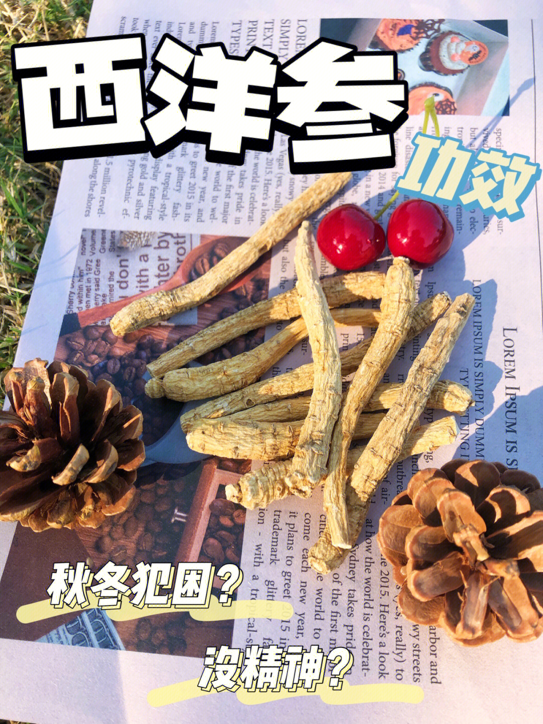 生喝甲鱼血能治阳痿吗_西洋参可以补阳虚吗_西洋参治疗阳蒌吗