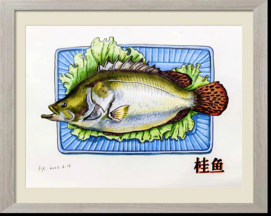 马克笔桂鱼绘画步骤素材