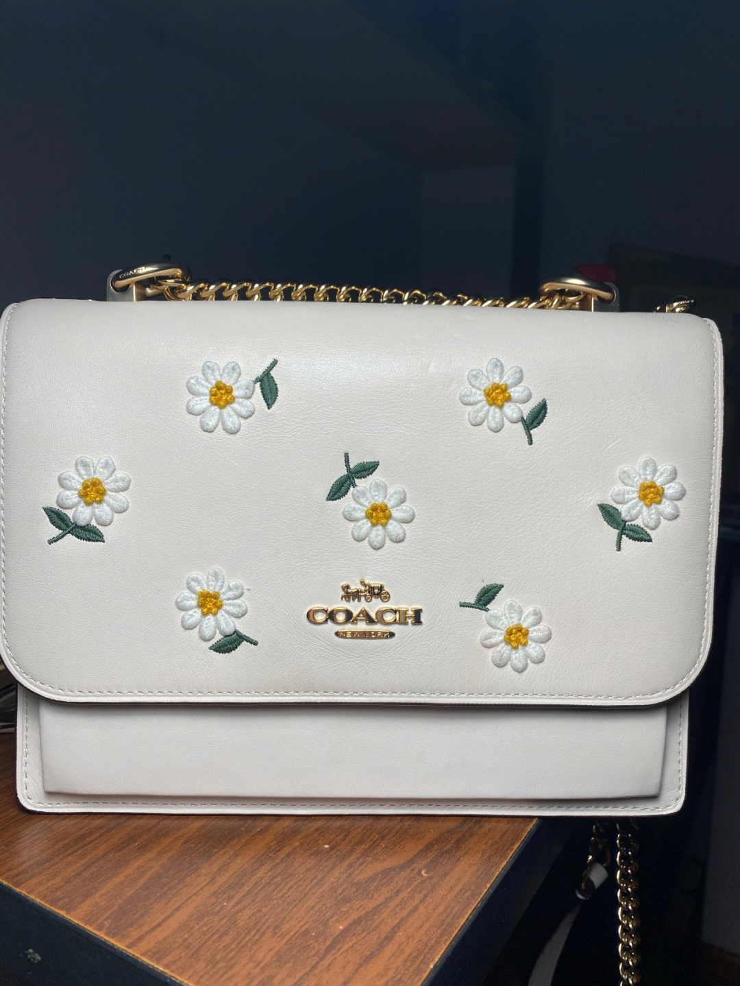 coach4月新品小雏菊图片