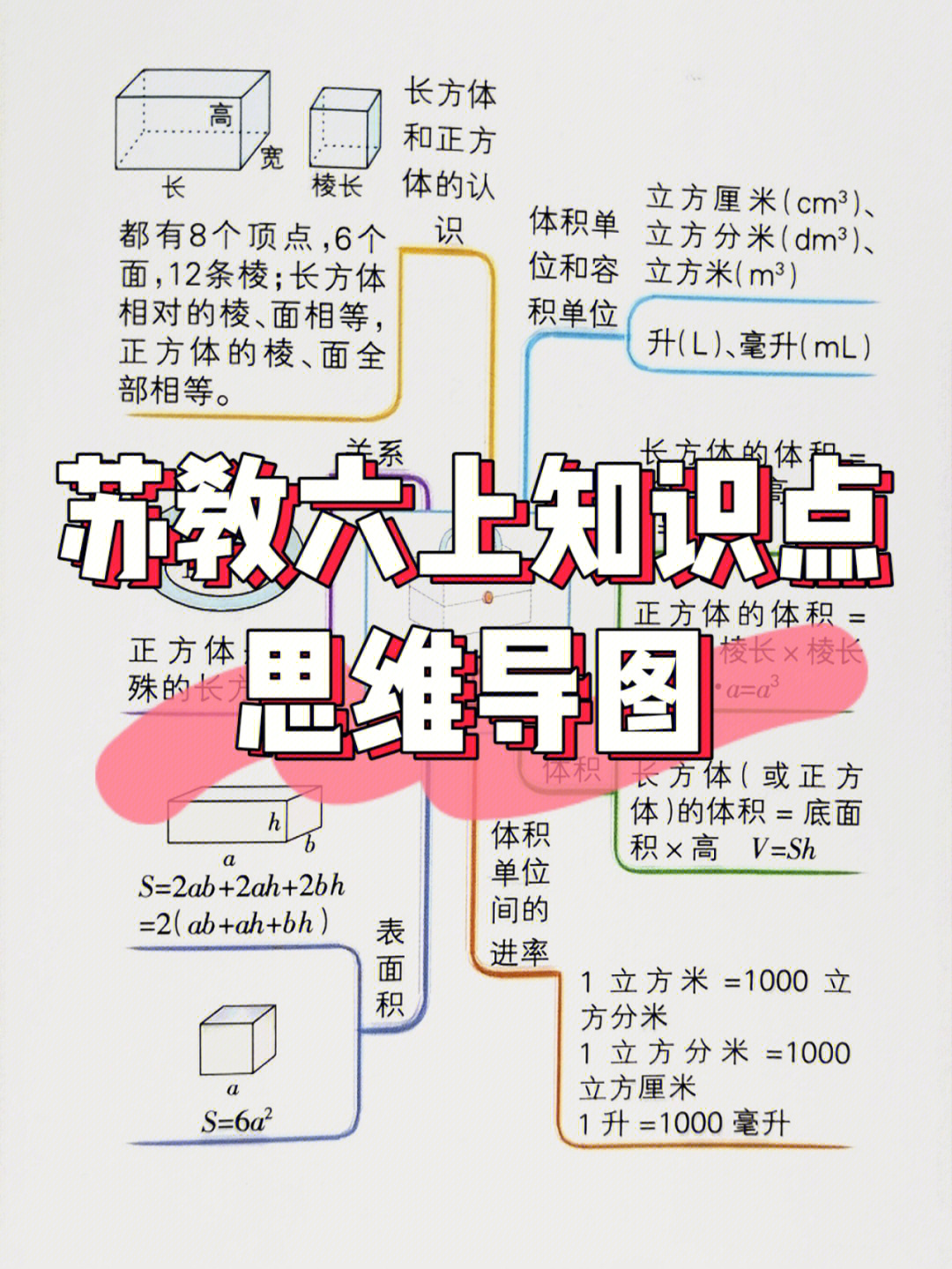 苏教版六年级上册知识梳理思维导图