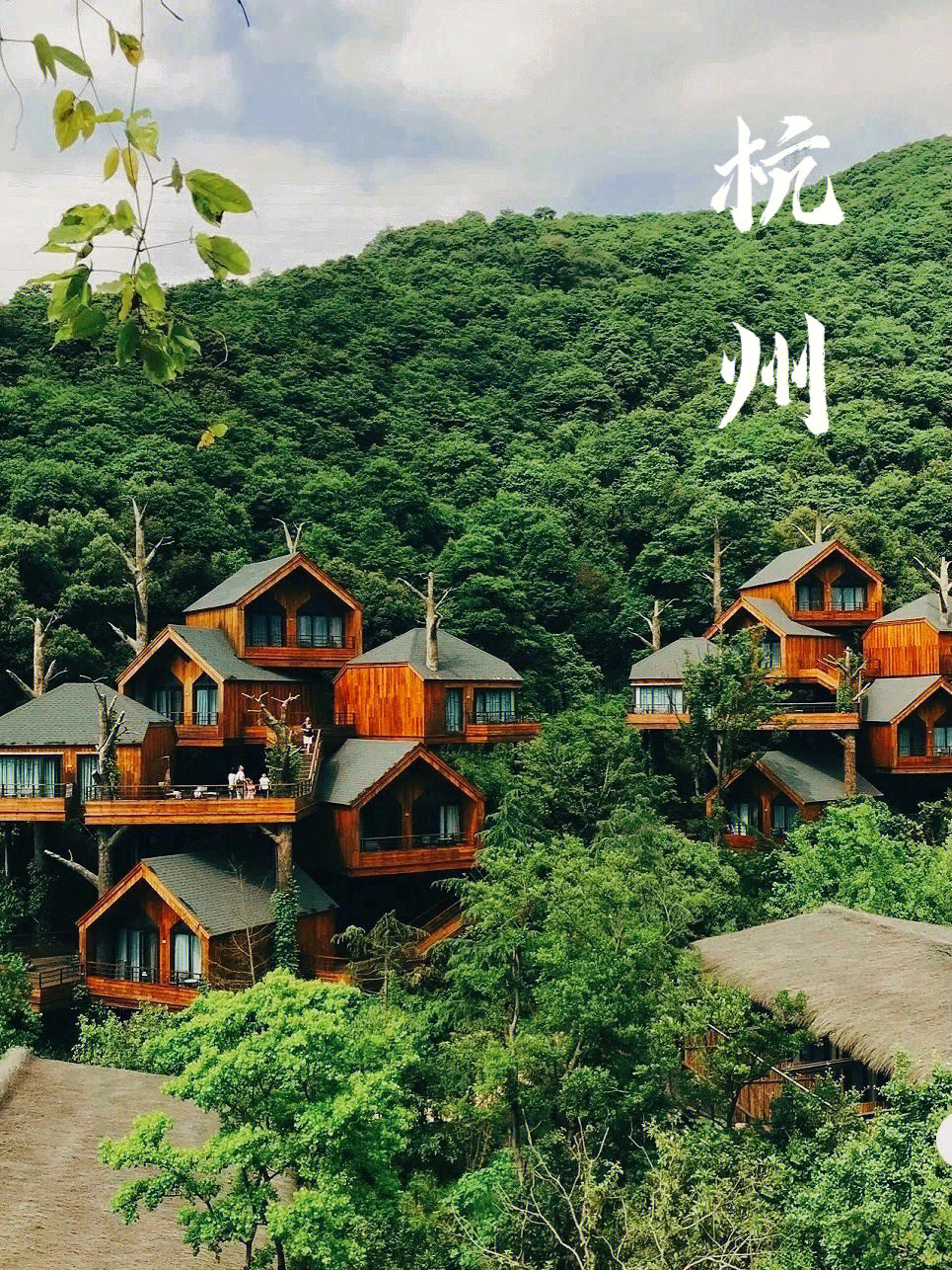 杭州周边游60藏在杭州的最美树屋酒店