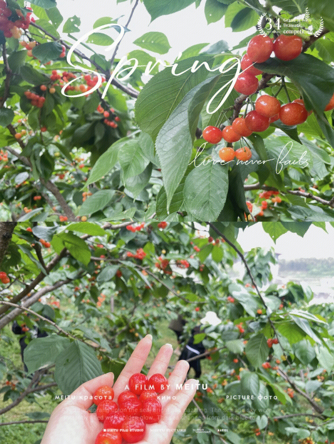 江油川香园太白广场店图片