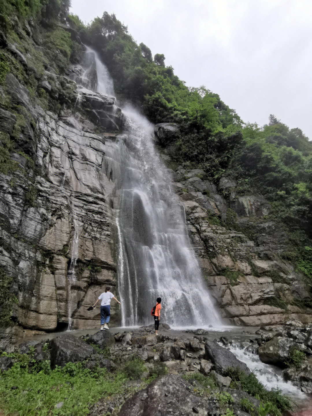 金佛山北坡图片