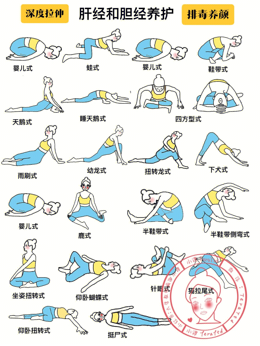 瑜伽伸展体式排课图片