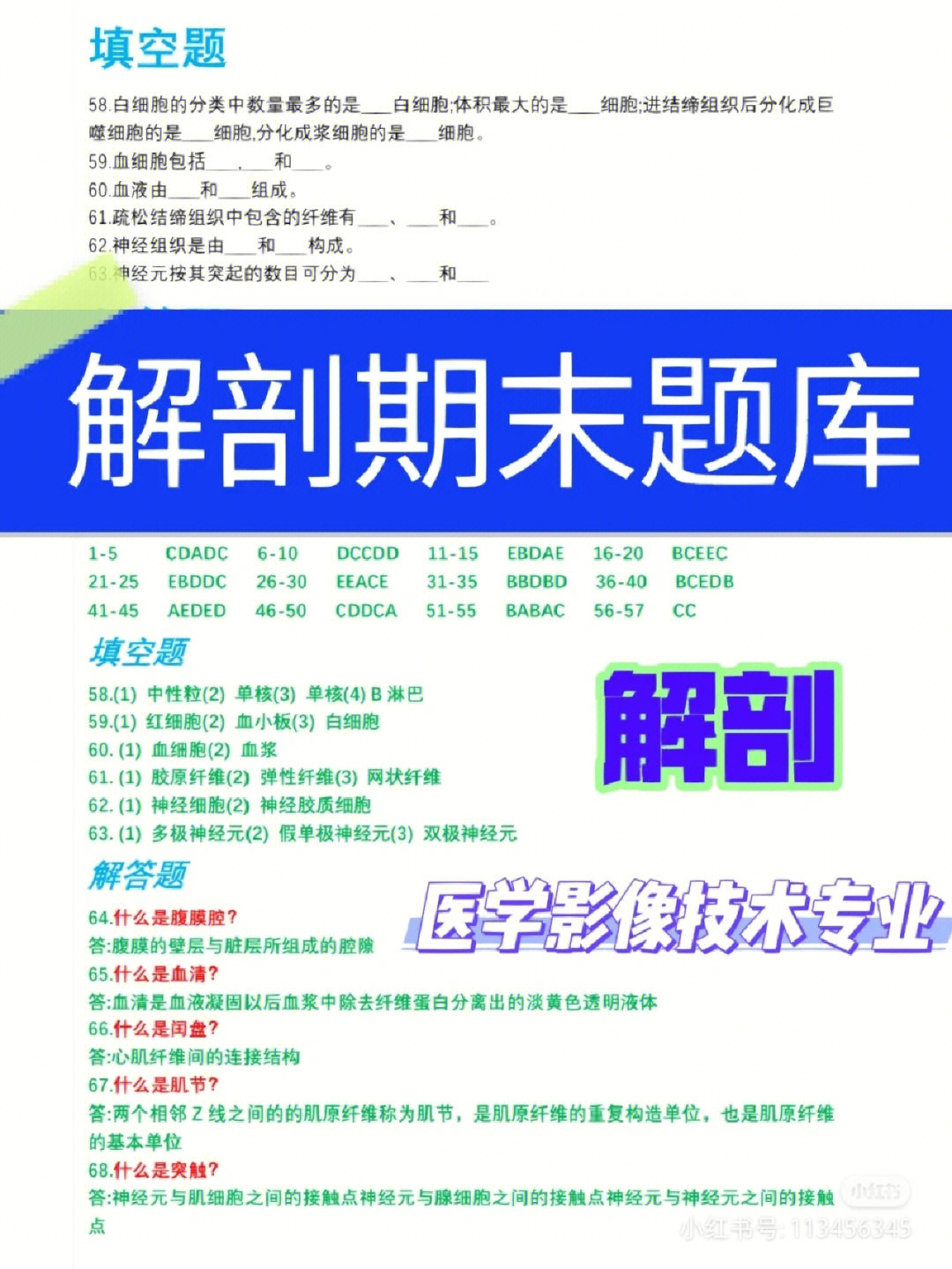 速收藏#人体解剖学  #解剖学  #医学影像技术  #医学影像诊断[一r]尼