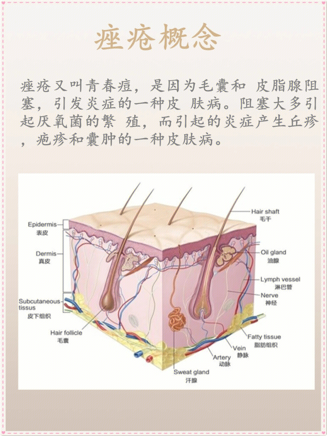 痤疮的形成原因及解决方案