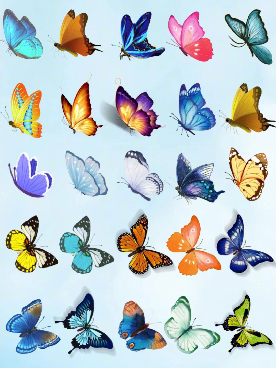 各种蝴蝶图片 梦幻图片