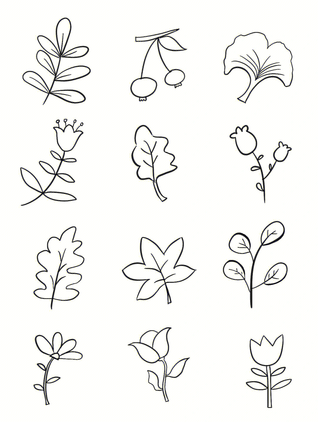 突然想画100个不同的元素,就从最简单的植物花卉简笔画开始吧可以当成