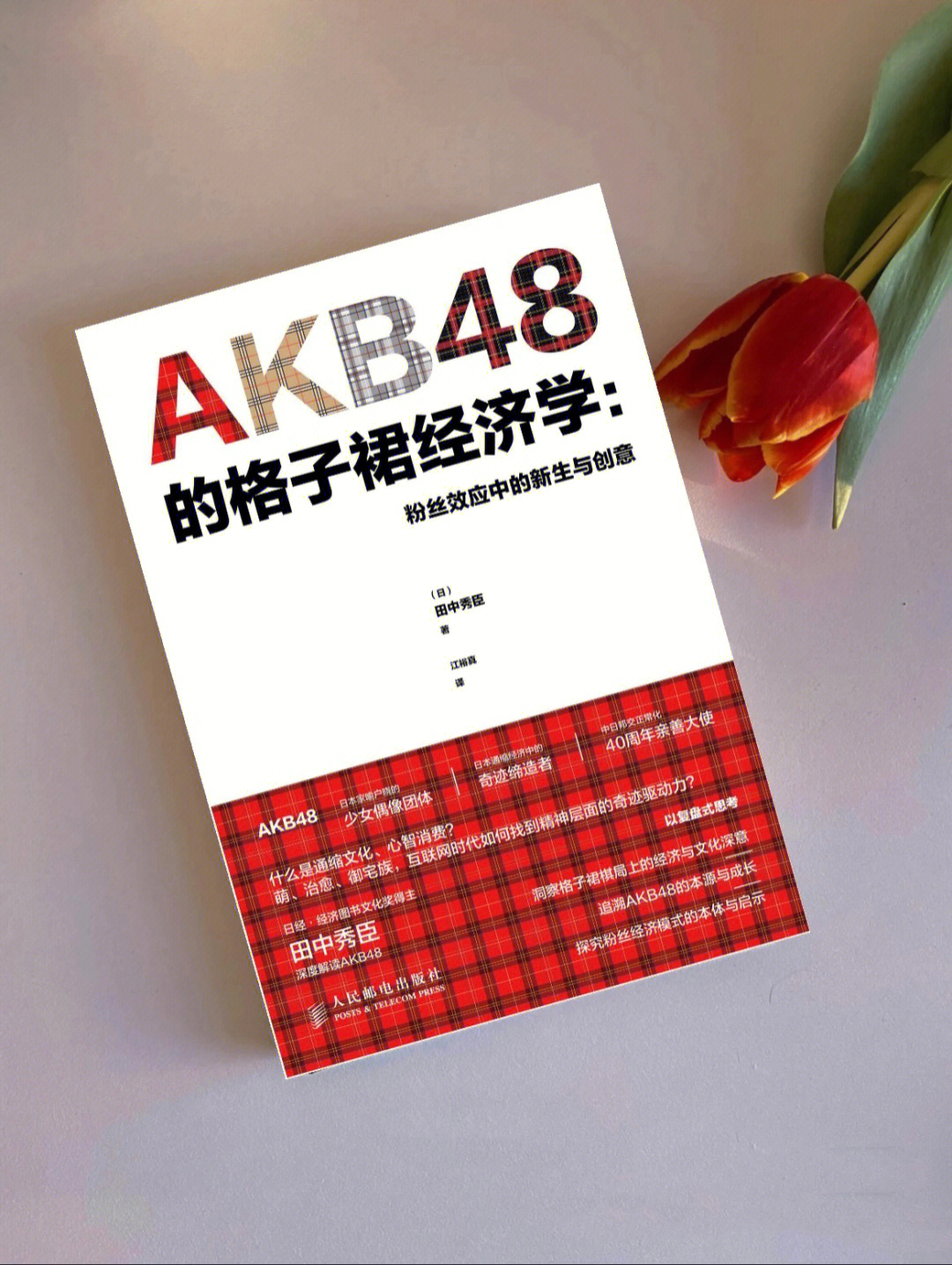 好书分享akb48的格子裙经济学粉丝
