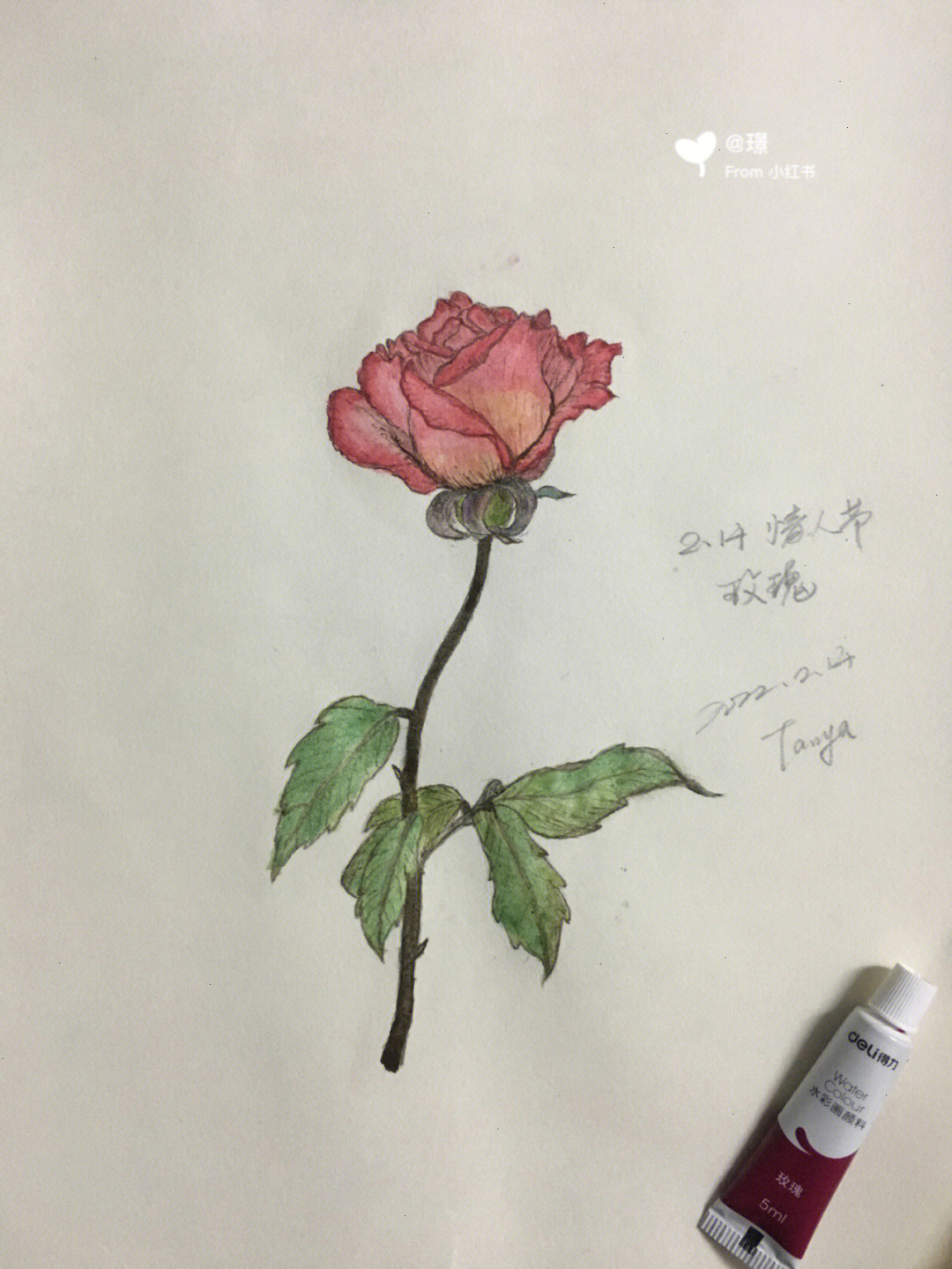 盛开的鲜花画画图片