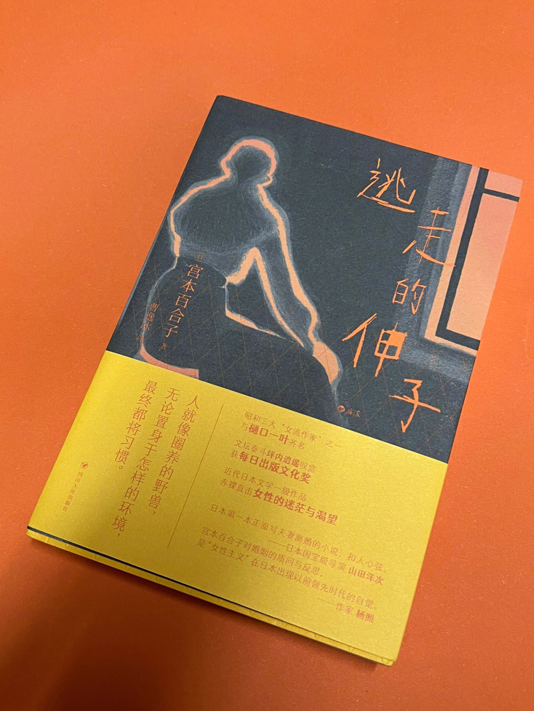 霍元甲打宫本一郎图片