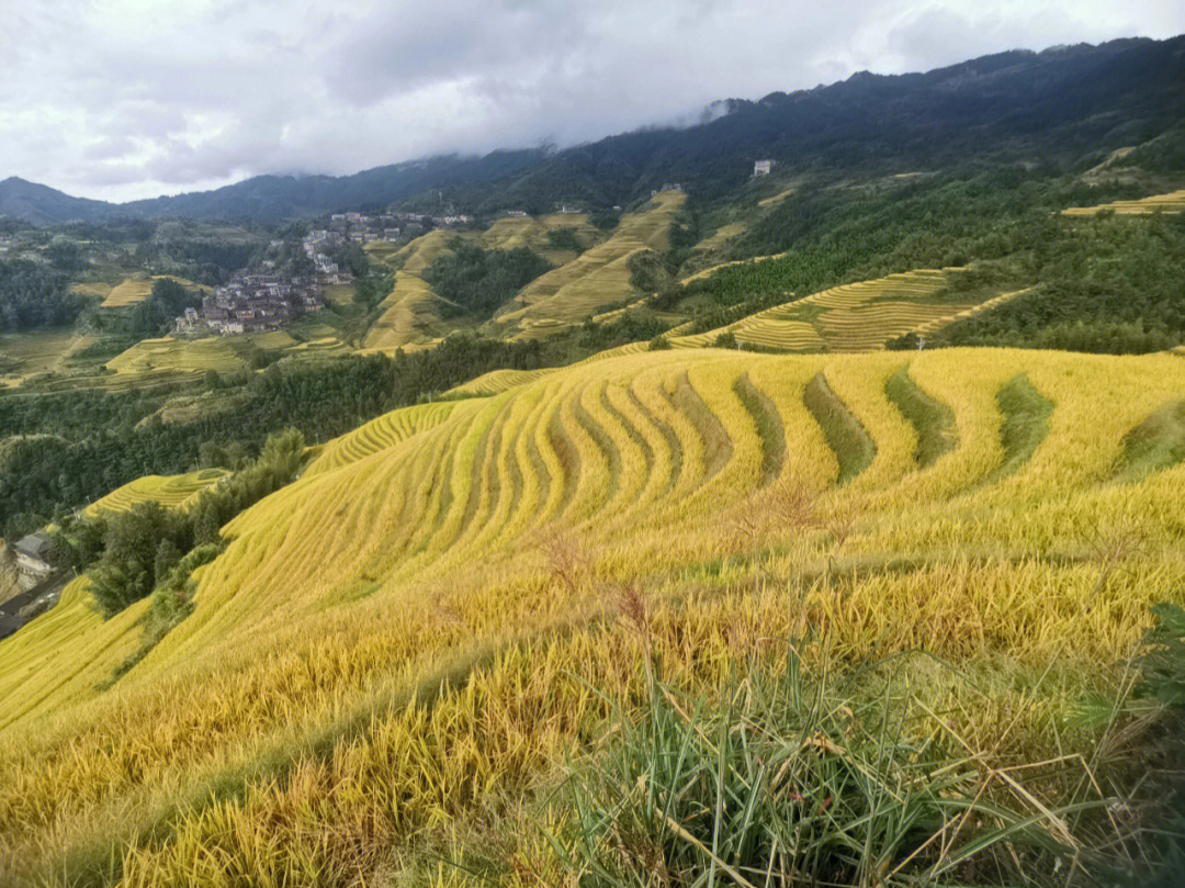 龙脊梯田景区