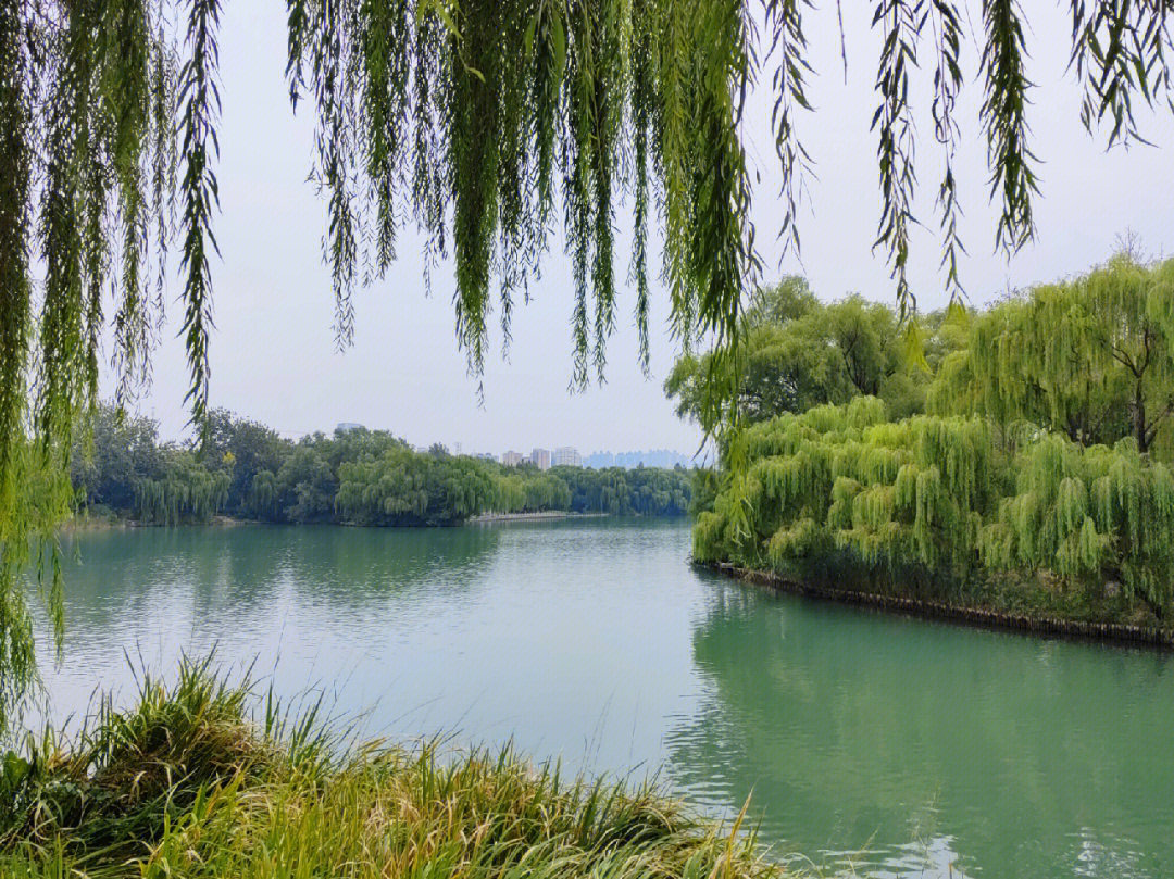 此时此刻的大明湖济南风景