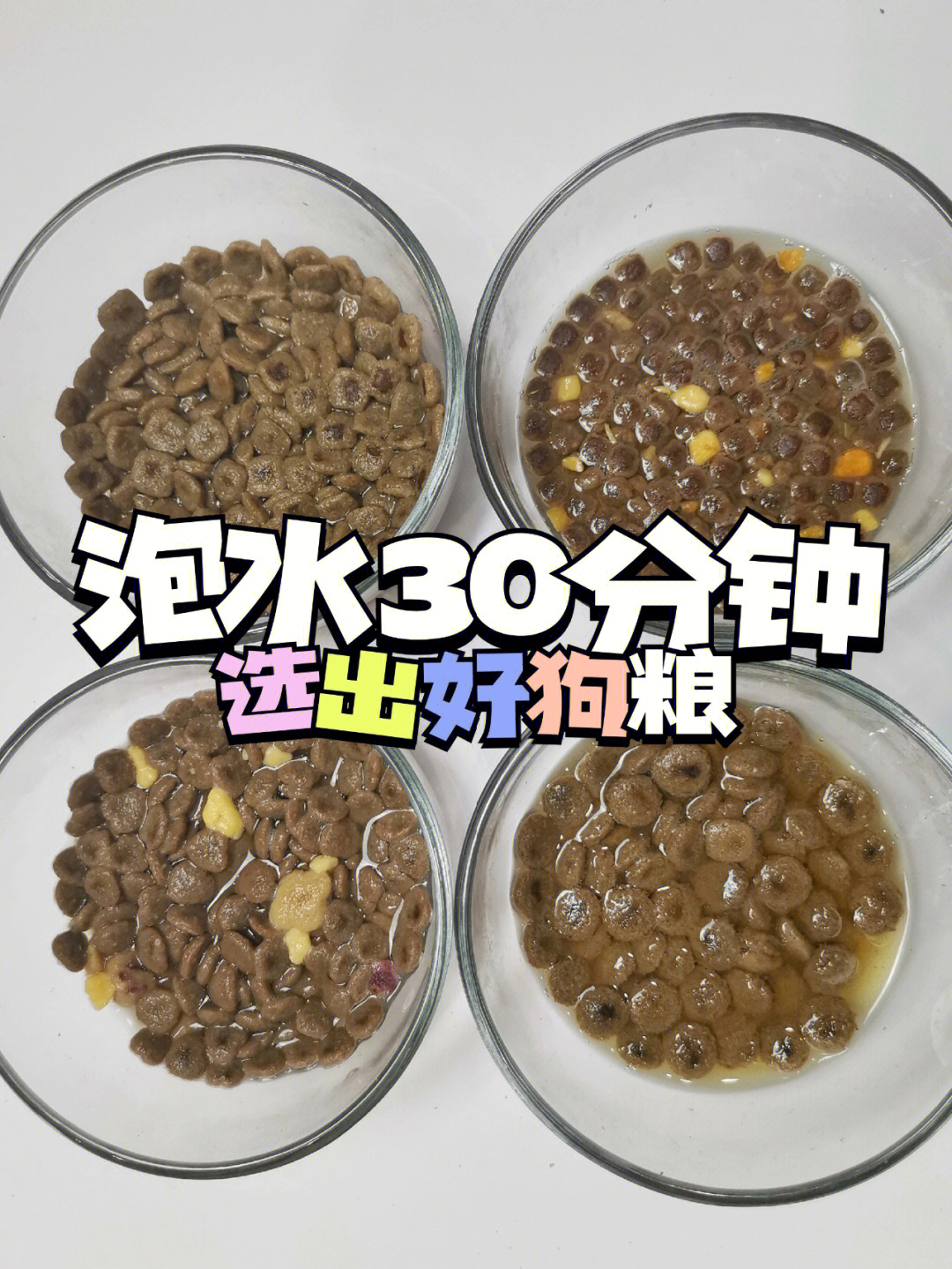 拿好小本本哦1,先要用冷水把狗粮泡30分钟2,观察狗粮的出油量(能明显