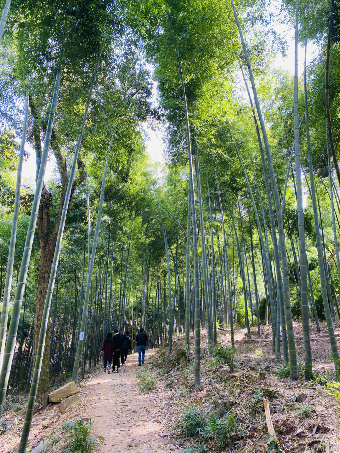 常熟铜官山风景区介绍图片