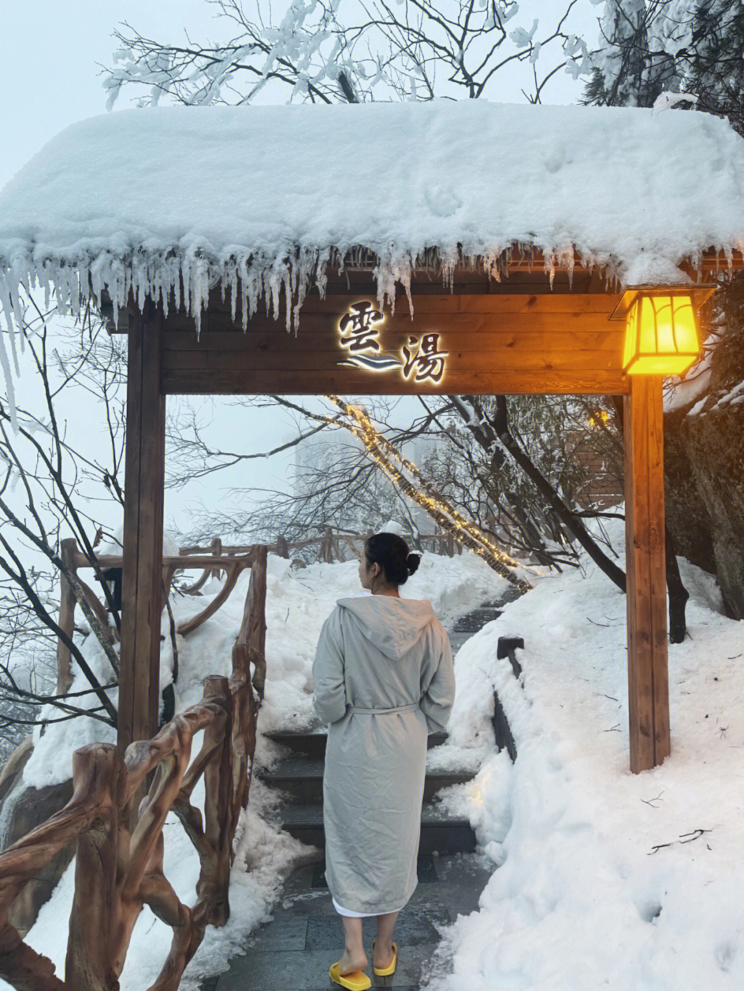 雪上云棠图片