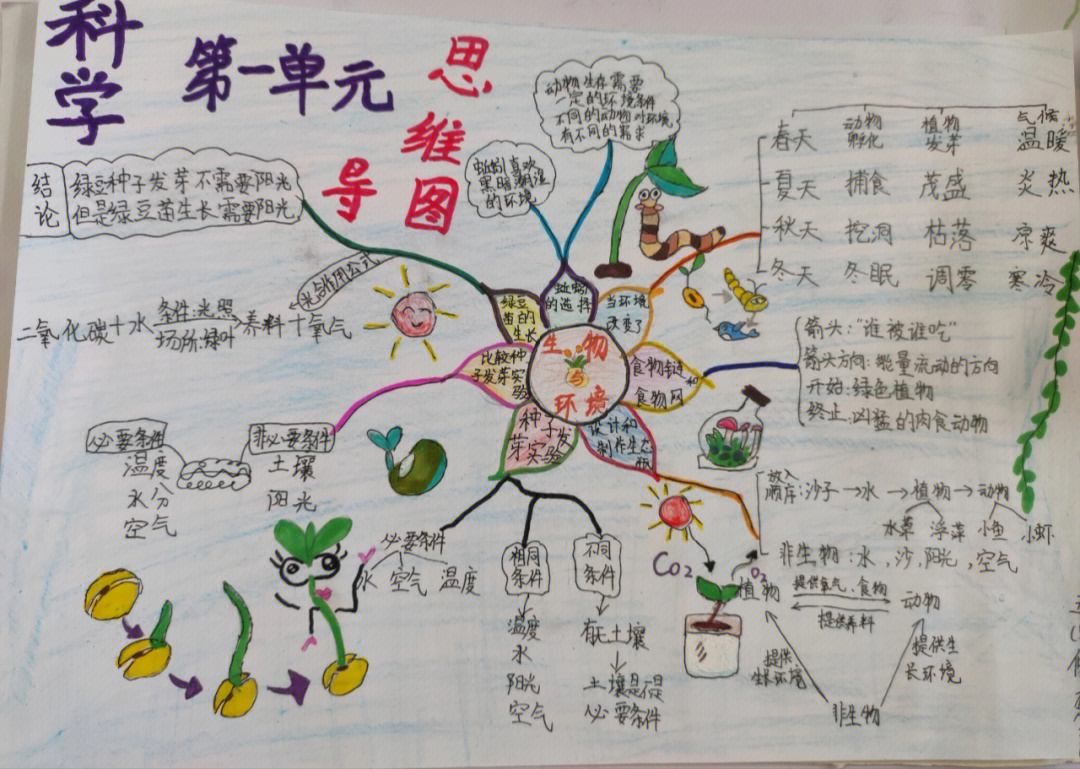 五下生物与环境单元思维导图