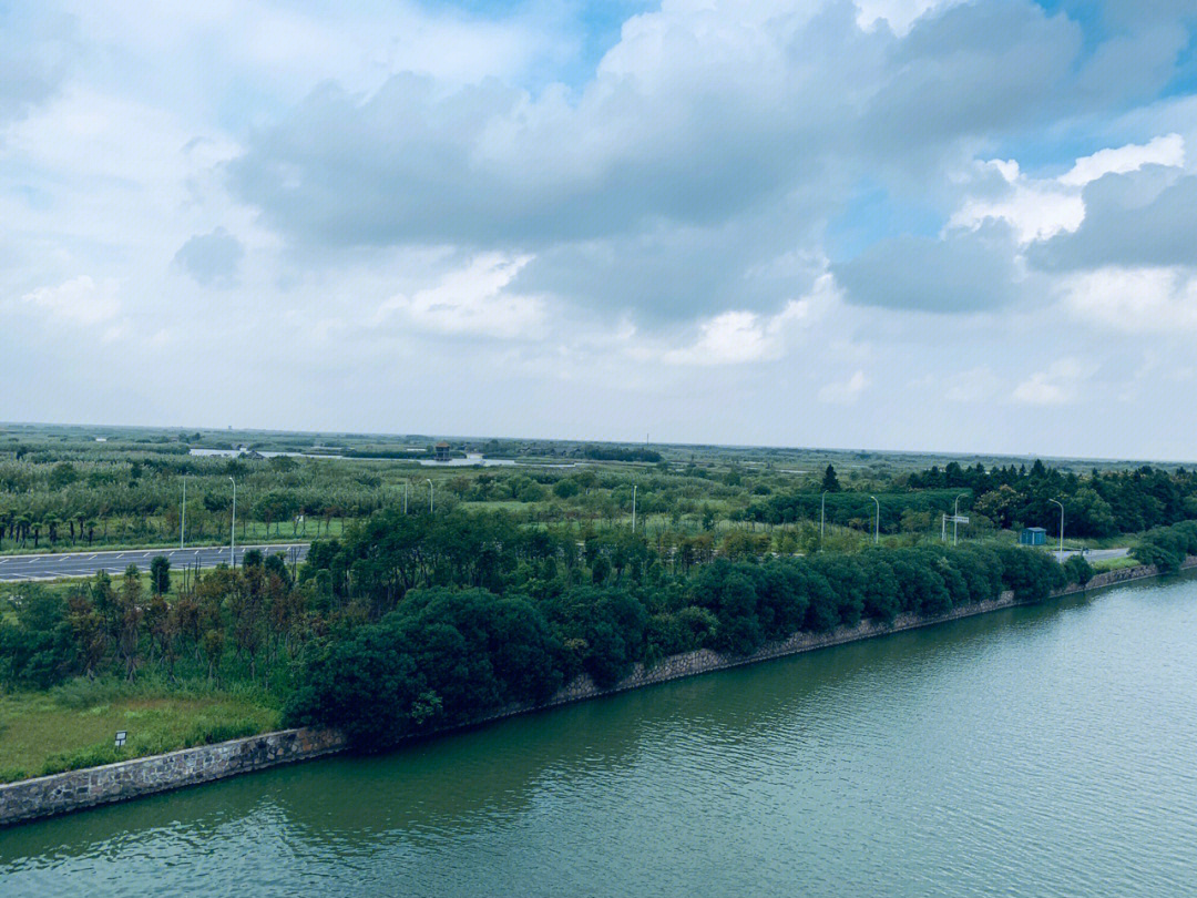 杭州湾湿地公园地址图片